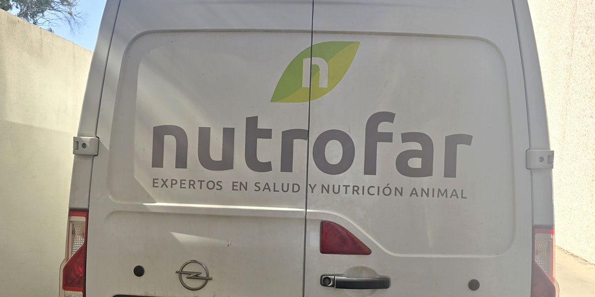 Vehículos 7